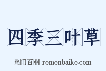 四季三叶草是什么意思的图片